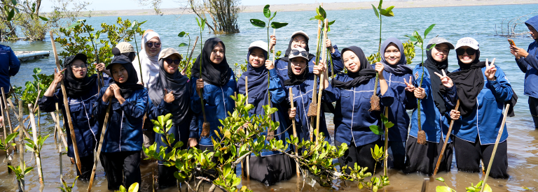 Menanam Mangrove2