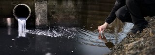 grey water & black water